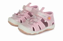 D.D.STEP G065-338 C