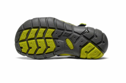 KEEN SEACAMP II CNX Y, naval academy/chartreuse 